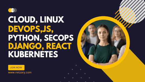 Netzary Infodynamics Blog